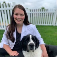 Badger Veterinary Hospital Employee Sheryl Gould's profile photo