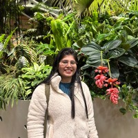 Divya Tanwar Email