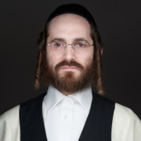 Sanders Collection Employee Wolf Gelb's profile photo