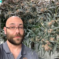 NxtHrvst Cultivation Employee Jeff Ledbetter's profile photo