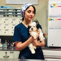 Fondation IUCPQ Employee Mahsa Baghdadi's profile photo