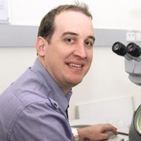 Michael Landsberg Email
