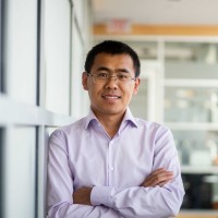 Shaoyong Feng Email & Phone Number