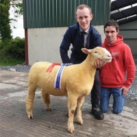 SlurryKat Employee Kyle Bradshaw's profile photo