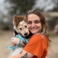 Lemon Collaborative Employee Ashley Koll's profile photo