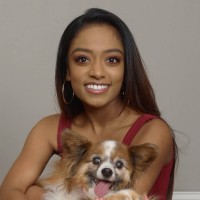 LEVEL Debt Employee Samy Mangalassery's profile photo