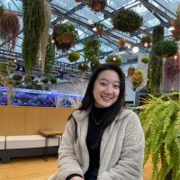 Roku Inc. Employee Amber Low's profile photo