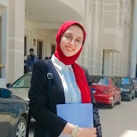 Movart Studio Employee Alaa Nabil's profile photo