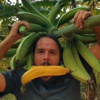 Ecosystem Restoration Communities Employee Michel Bottan's profile photo