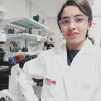 Earthodic Employee Hedieh Fallahi's profile photo