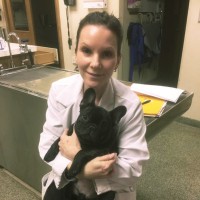 Leader Dogs for the Blind Employee Robin Krieger's profile photo