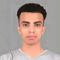Medhat Salman Email