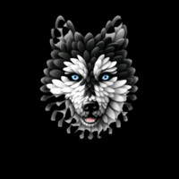 Global Network Solution Employee Gnssoft Texh's profile photo