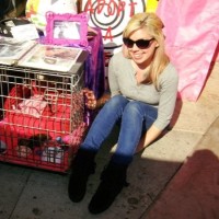Amanda McCallum Email & Phone Number