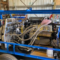 Marks Brothers, Inc. Employee Chris Galego's profile photo