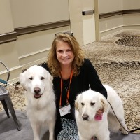 Code 3 Associates Employee Robin Kringlie's profile photo