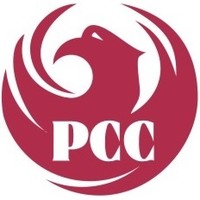 Phoenix Consultancy Email