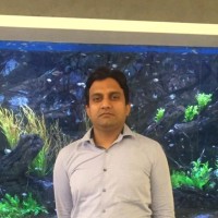 NATS-Solutions Employee Safdar Alam's profile photo