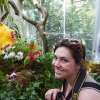 Nicole Dobbs Email & Phone Number