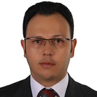 Elite Lighting Inc Employee Peyman Ataei's profile photo
