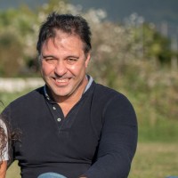 Scuola Normale Superiore Employee Alessandro Cellerino's profile photo