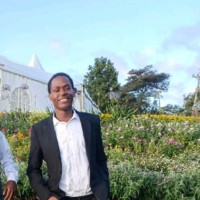 Lee Kiama Email