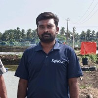DEVI SEA FOODS LIMITED Employee Anil Mallipudi's profile photo