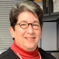 Arlene Brandeis Email & Phone Number