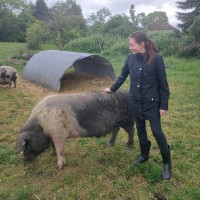Dr Sam's Employee Vivien Ledertheil's profile photo