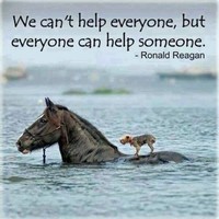 Save1Pet Save1Pet