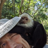 Linus Torvalds Email & Phone Number