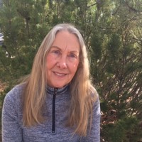 Alison Bendele Email & Phone Number