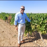 Vinos & Bodegas, S.A. Employee Bruno Pedro's profile photo