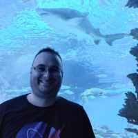 SAP Employee Marko Jovic's profile photo