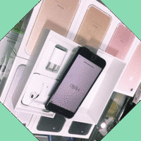 Interlink Electronics Employee Kelly Dennis's profile photo