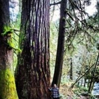 Community Action of Skagit County Employee Steven Simmons's profile photo