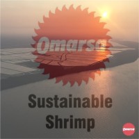 OMARSA S.A. Employee Francisco Xavier Vanoni Viteri's profile photo