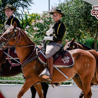 Alex Ly Email & Phone Number