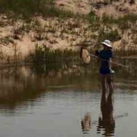 Niswander Environmental, LLC Employee Nicole Stewart's profile photo