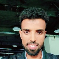 Lesan Employee Bahabelom Gebremedhn's profile photo