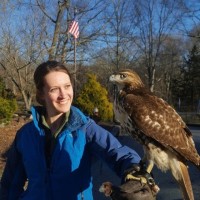 Courtney Mitterling Email