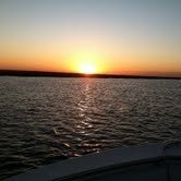 Roland Craft Email & Phone Number