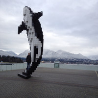 Dennis Curtis Email & Phone Number