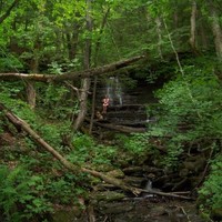 Shumaker Consulting Engineering and Land Surveying, D.P.C. Employee James Cammer's profile photo