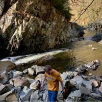 Joseph McGuckian Email