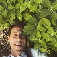 Michael Cusumano Email