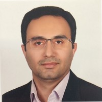 Hamed Amini Email