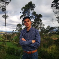 Riservi Employee David Patiño's profile photo