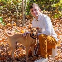 Solar Energy World Employee Ari Fischel's profile photo