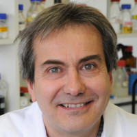 iMAb Employee Pierre Martineau's profile photo
